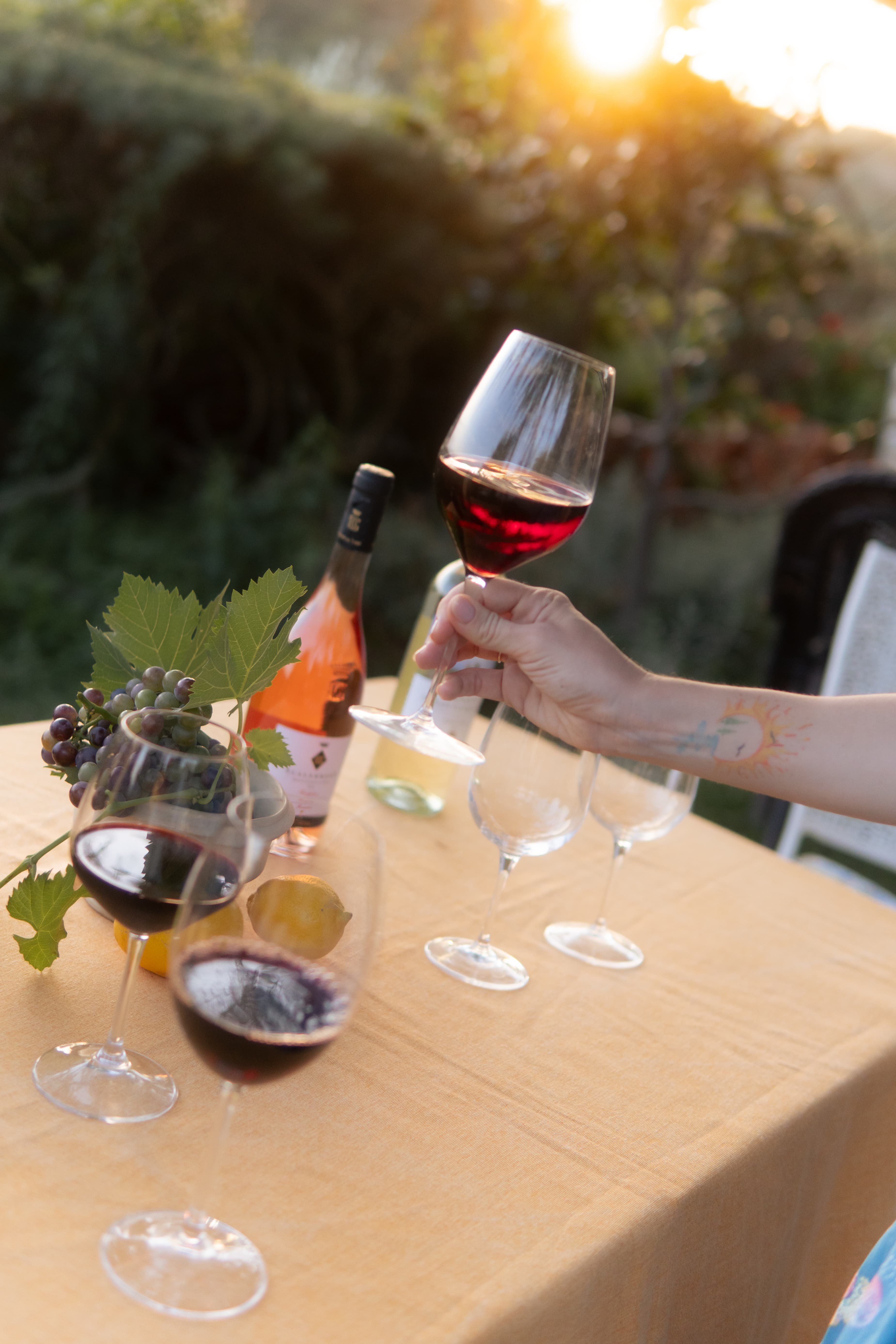 Wine tasting experience at local Tuscan vineyard with glasses of red wine and scenic views